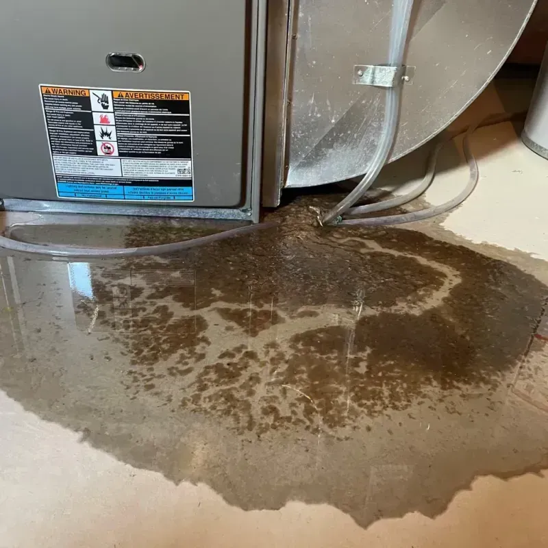 Appliance Leak Cleanup in Byron, CA